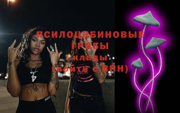 мяу мяу мука Абаза