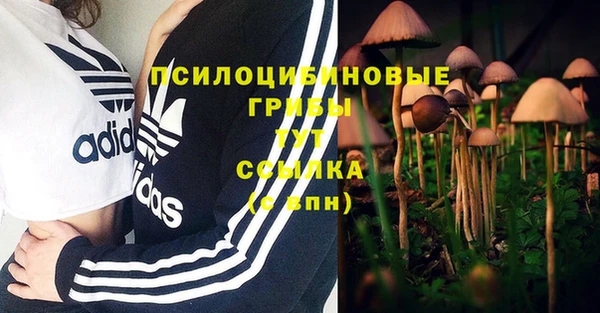 мяу мяу мука Абаза