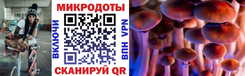 Галлюциногенные грибы Cubensis  Берёзовка 